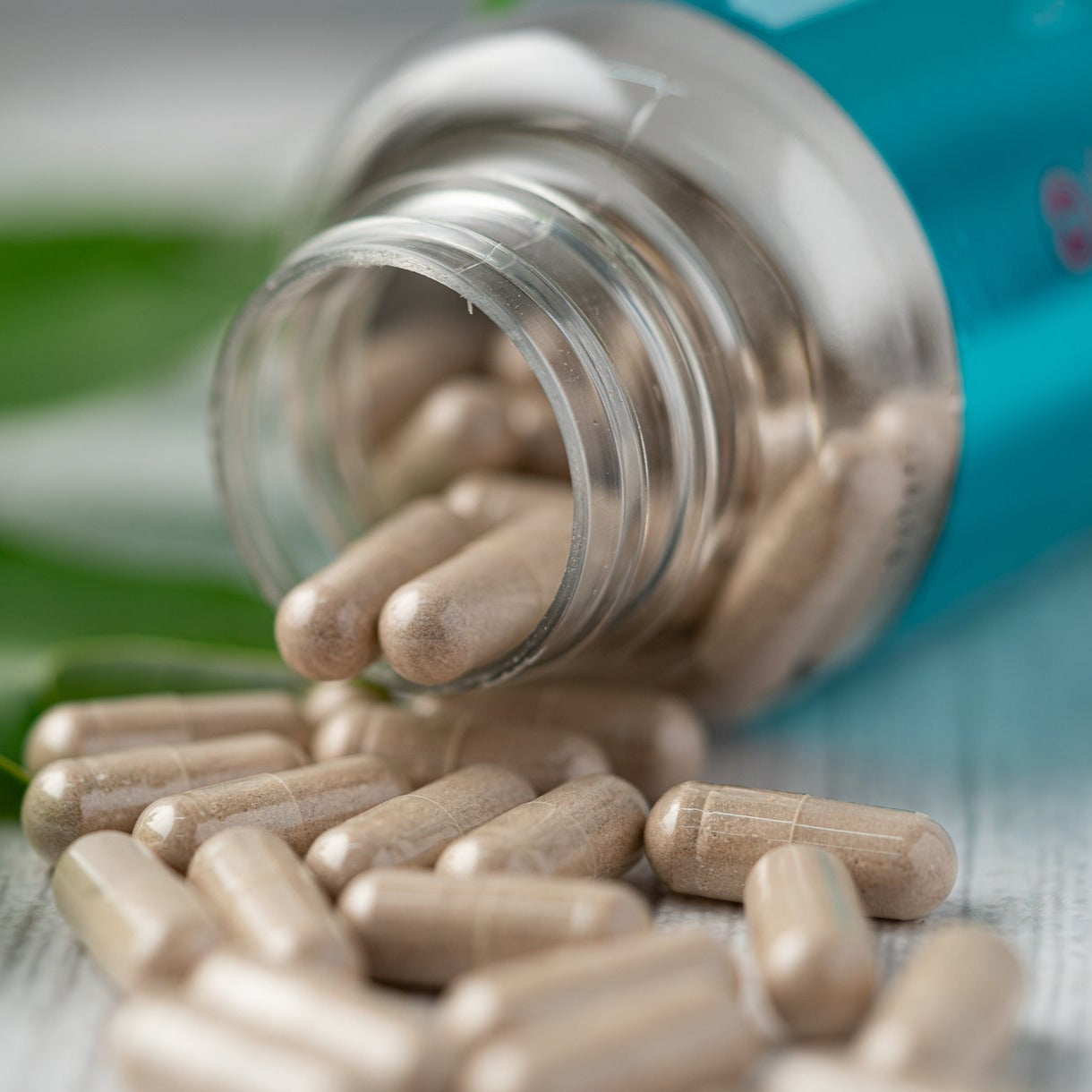 Cápsulas con frutos rojos, antioxidantes y colágeno hidrolizado Body Active Suplemento alimenticio